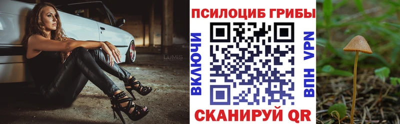 mega рабочий сайт  Можайск  Галлюциногенные грибы мицелий  где купить наркоту 