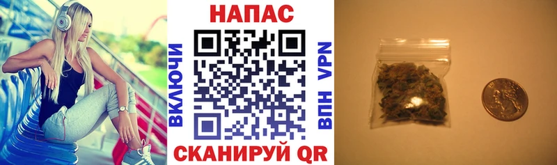 Шишки марихуана план Можайск